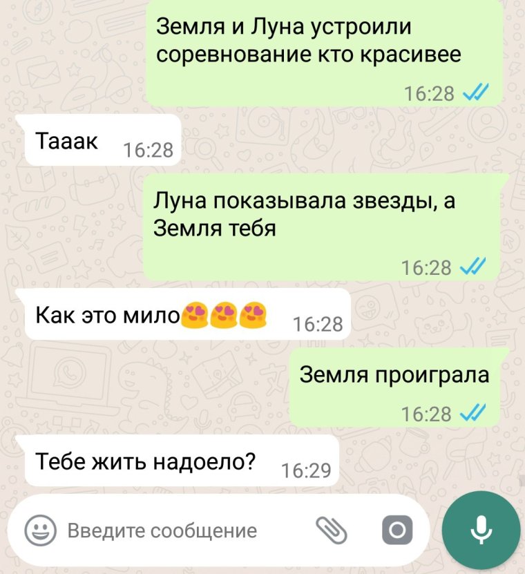 Фото прикол точики