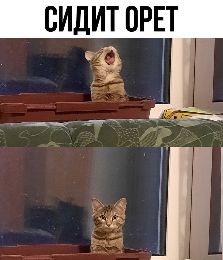 Афанди точики