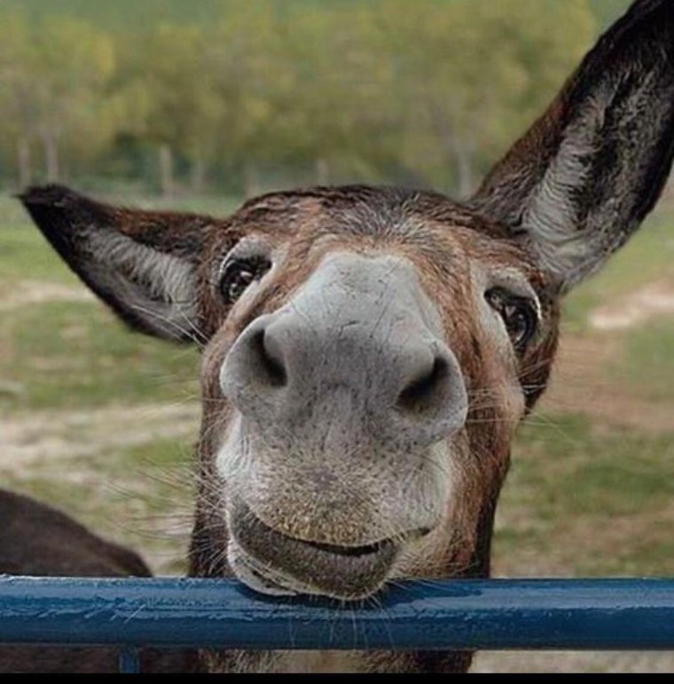 Картинки шеърхои ошики