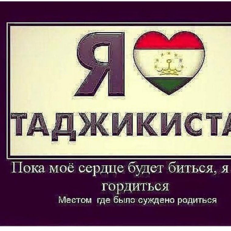 Татарский кот