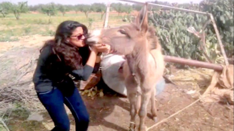 Шукрона Хусенова