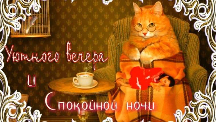 Добрый вечер смешные