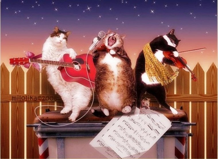 Открытки добрый вечер