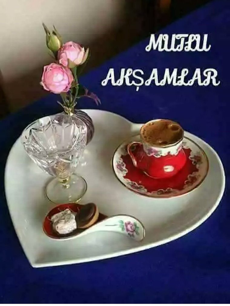 Уютный котик иллюстрация