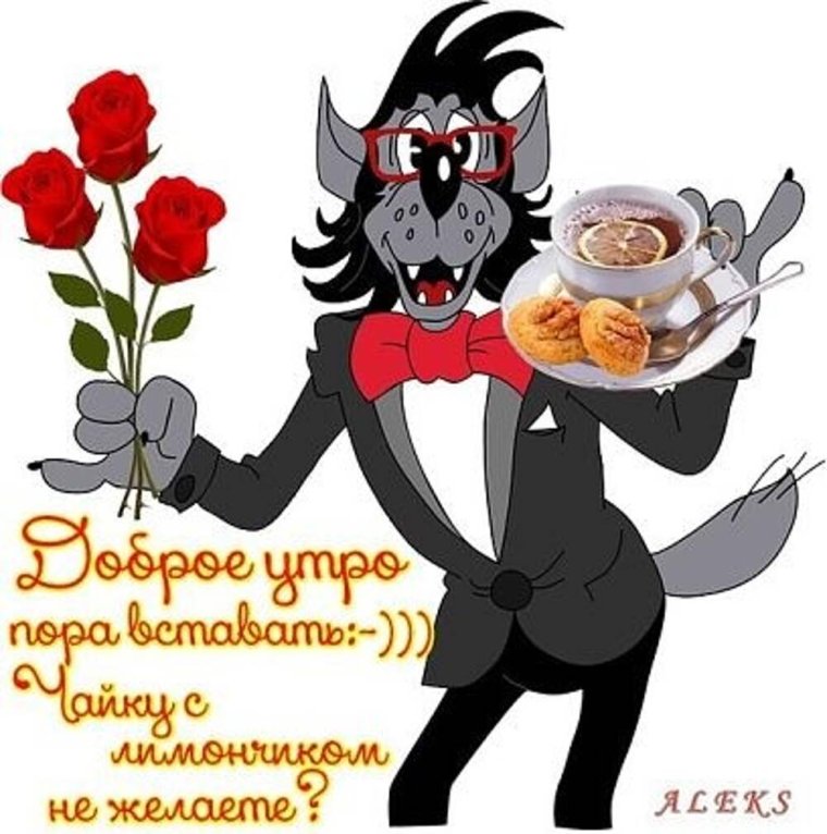 Уютной ночи