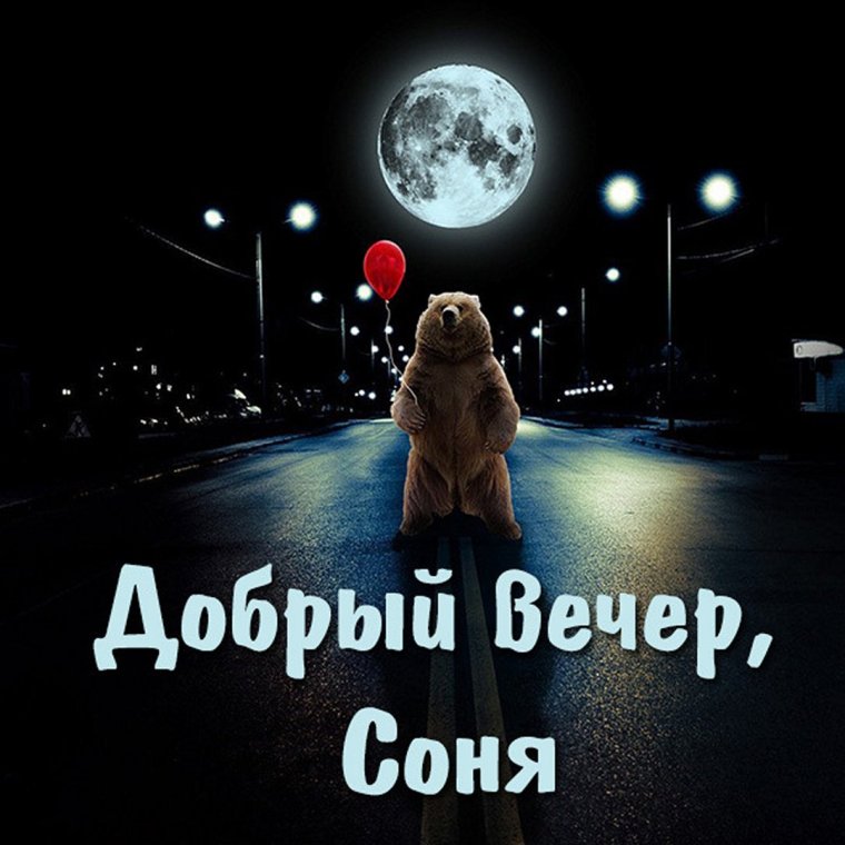 Прикольные пожелания спокойной ночи