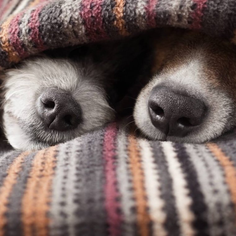 Доброго пятничного вечера и хорошего настроения