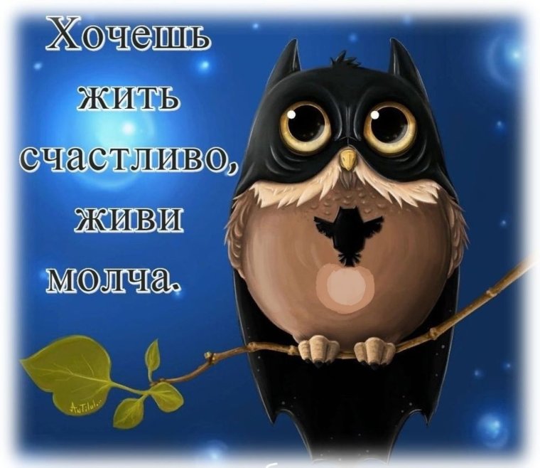 Юморные пожелания спокойной ночи