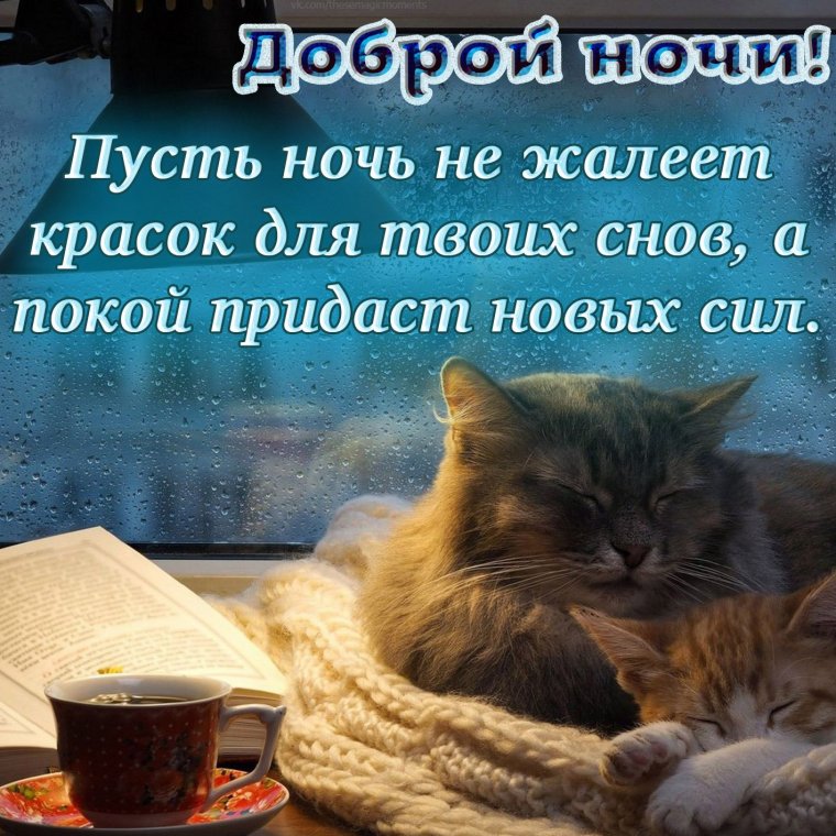 Приколы на ночь