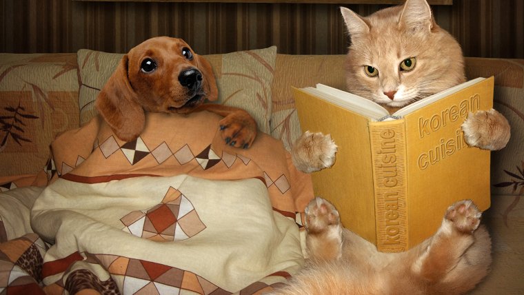 Добрый вечер бесплатно Веселые