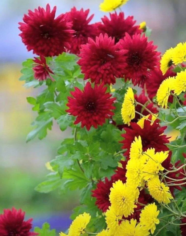 Открытки мусульманские на татарском языке