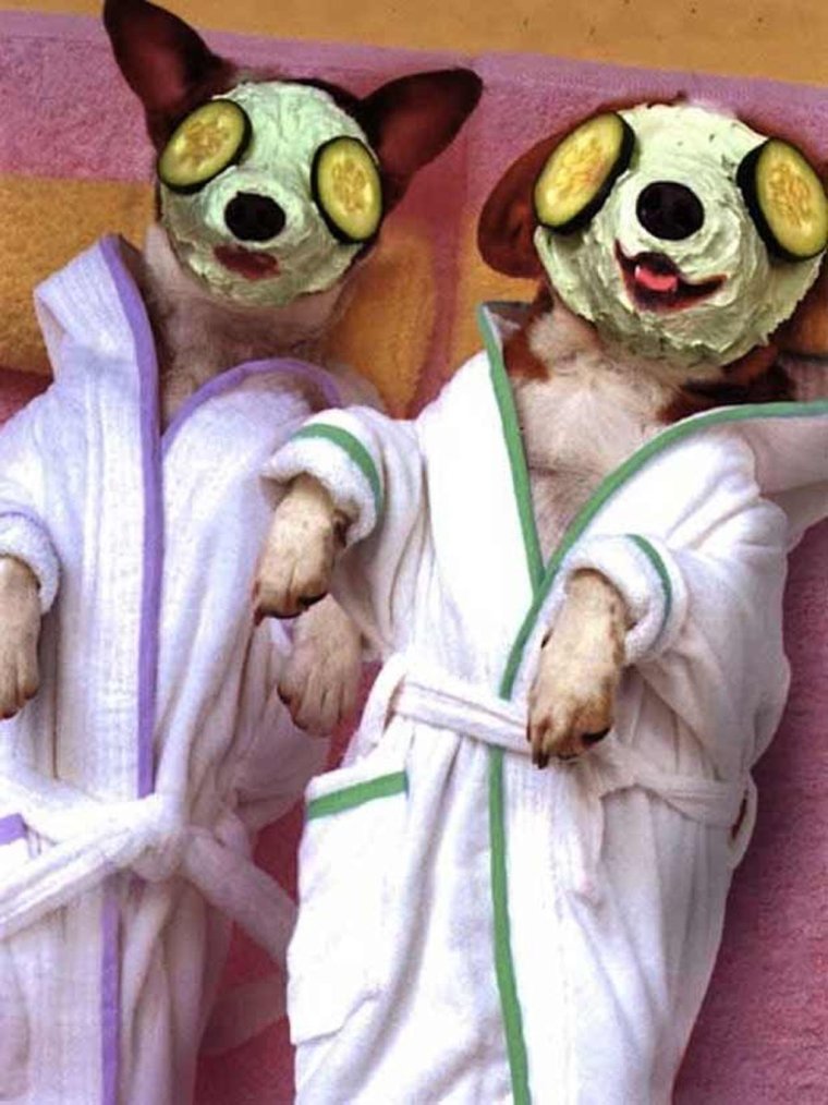 Цитаты про ногти