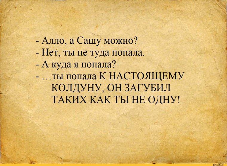 Смешные поговорки про Сашу