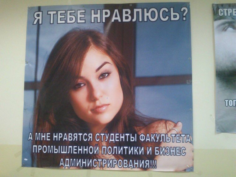 Добрые мемы с котами