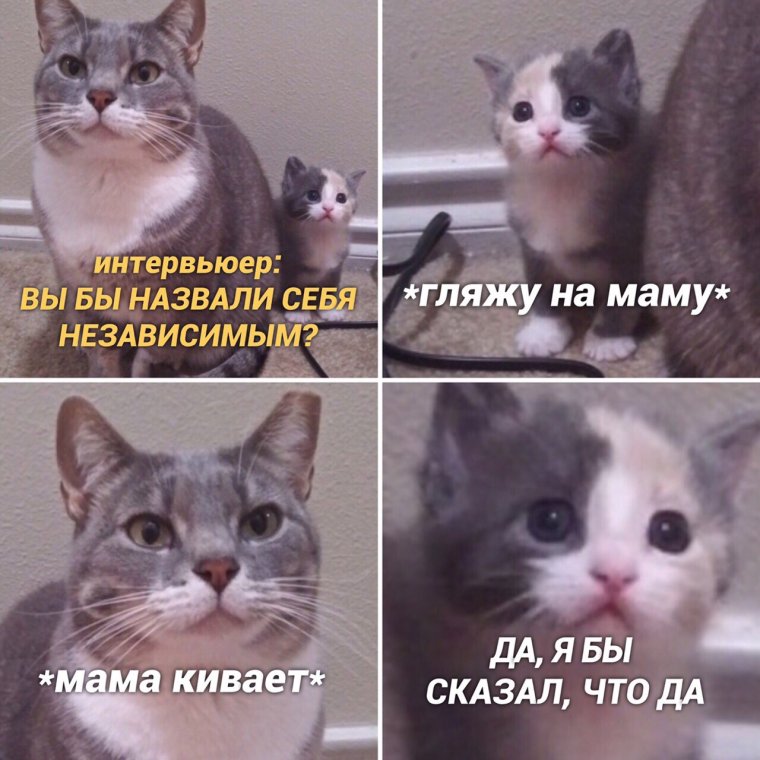 Саша грей ударилась мизинцем