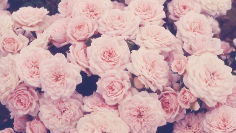 Рамка в Восточном стиле