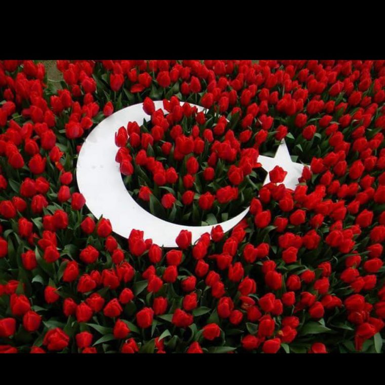 Гулар манзараси