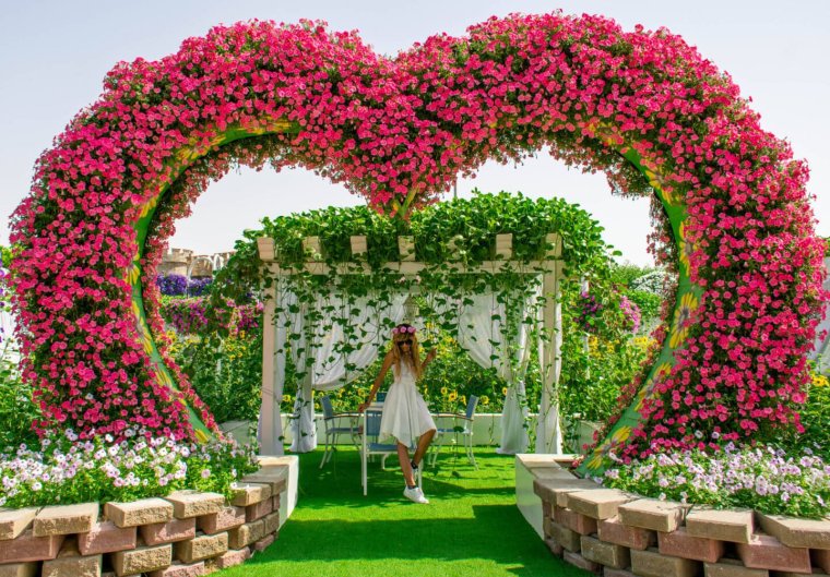 Роза колоновидная арка