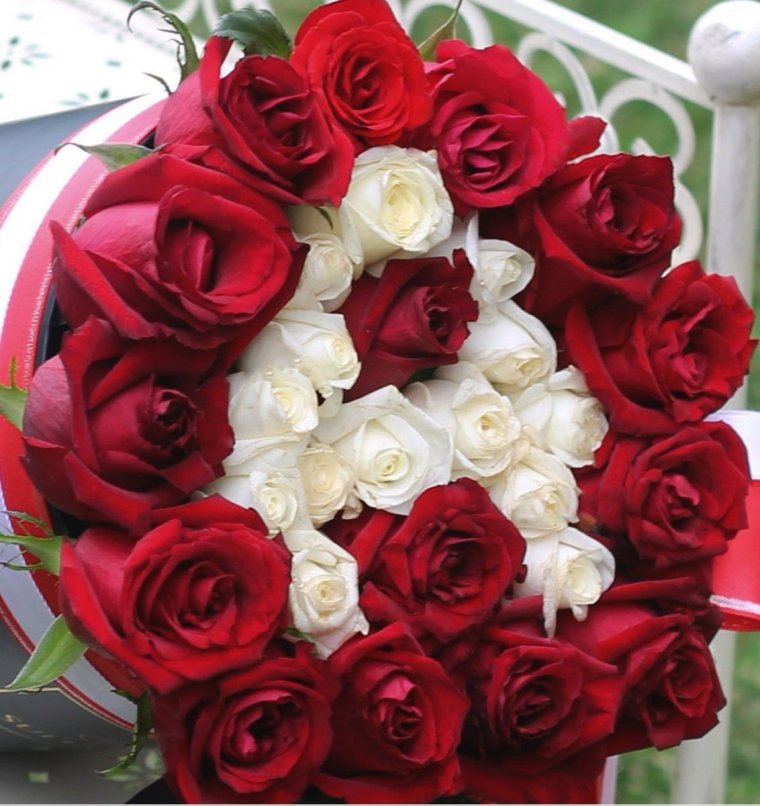 Гулар атиргул