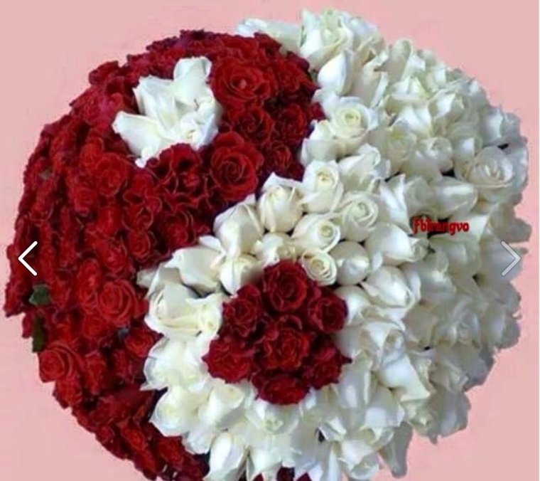 Гулар дунёси