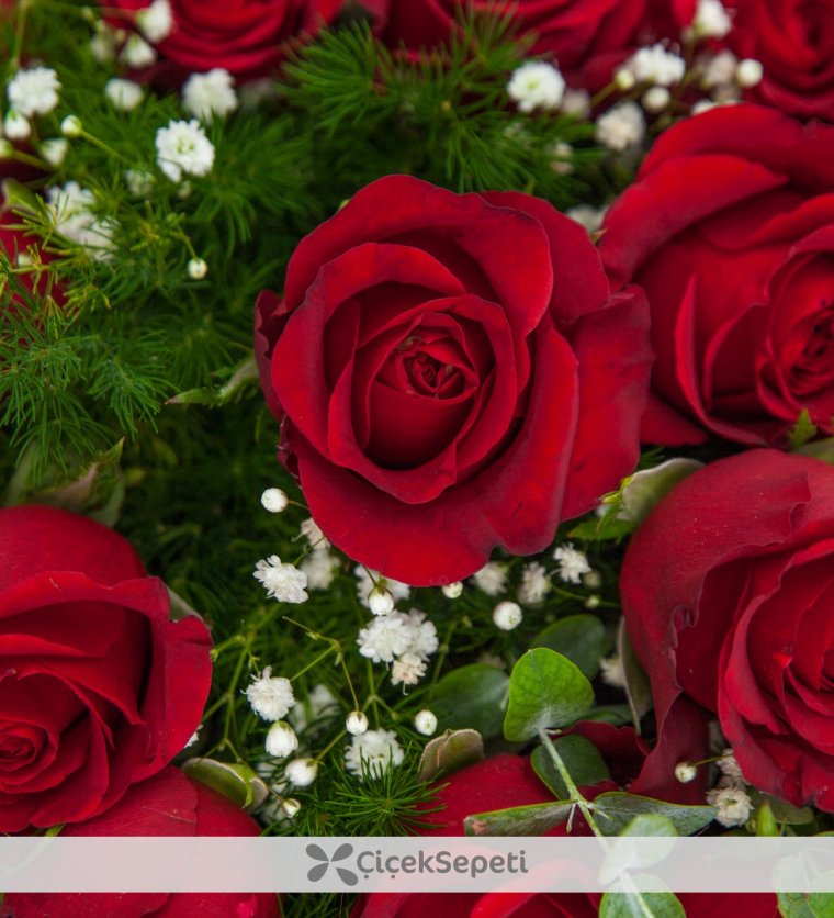 Гуллани расми