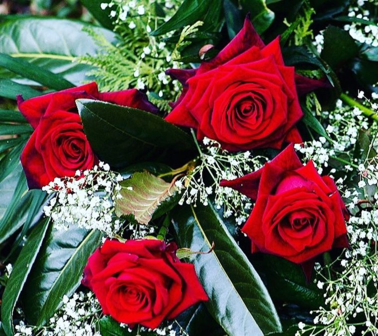 Райхон гуллар