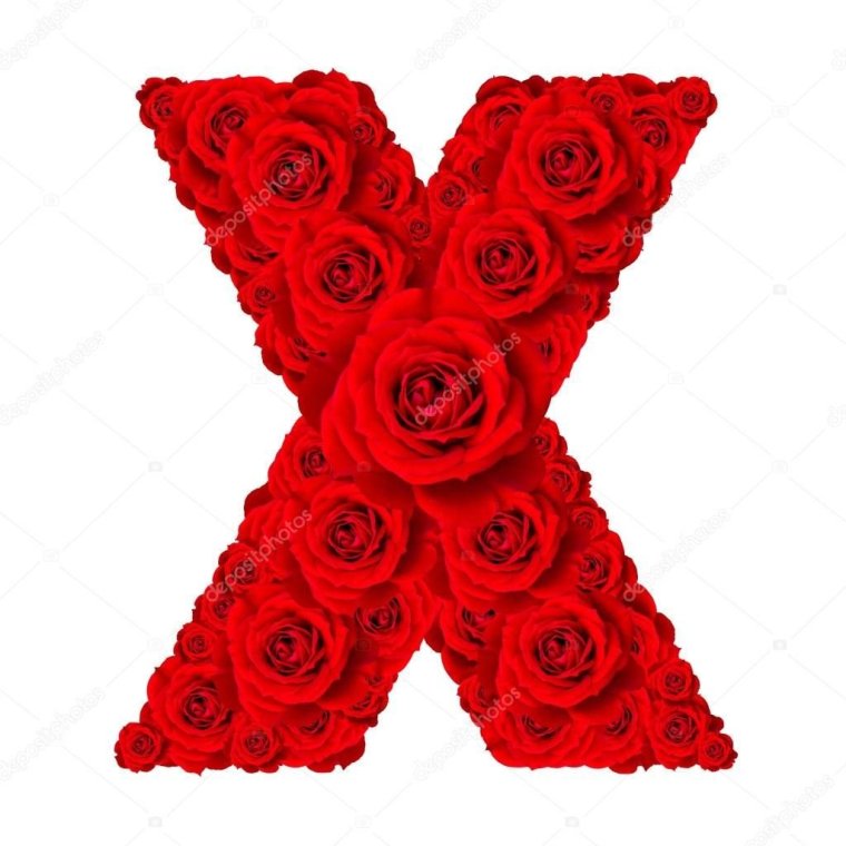 Буква i из роз