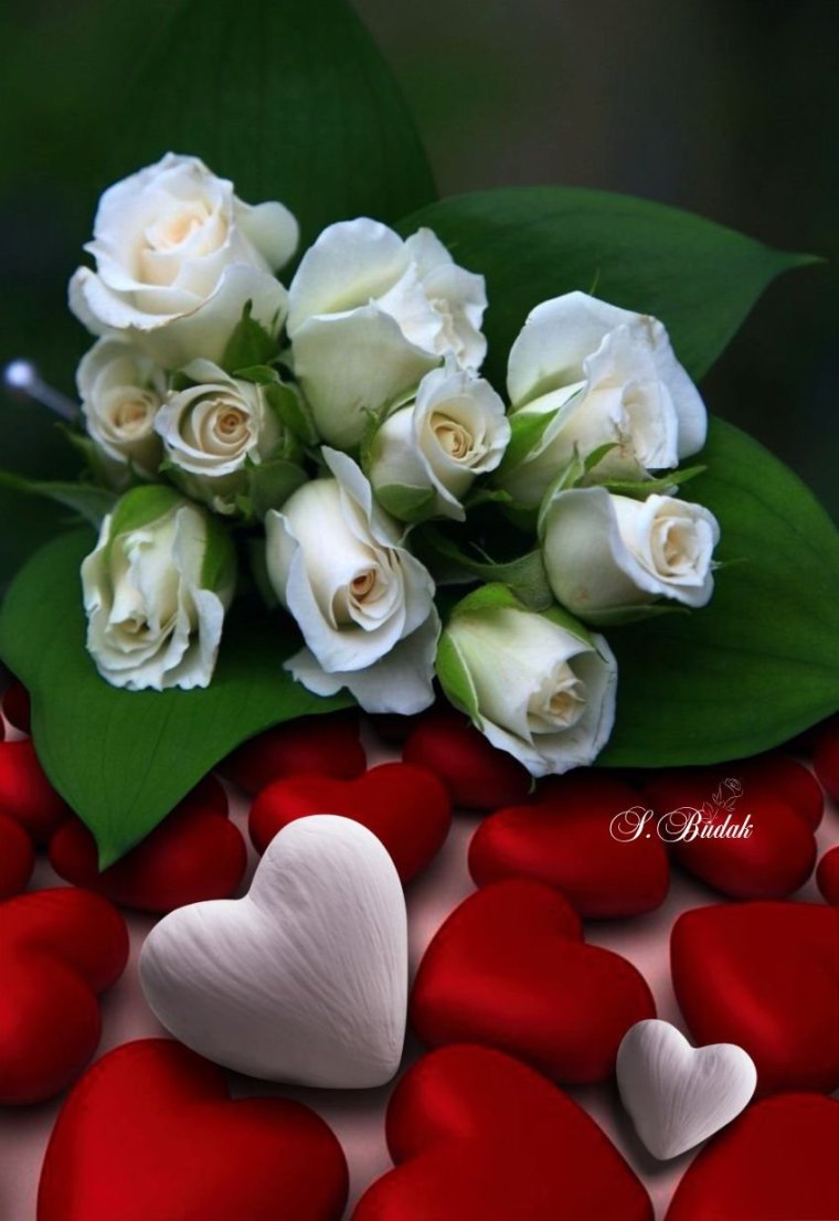 Цветы для любимой