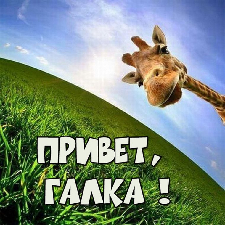 Маша Тимошка