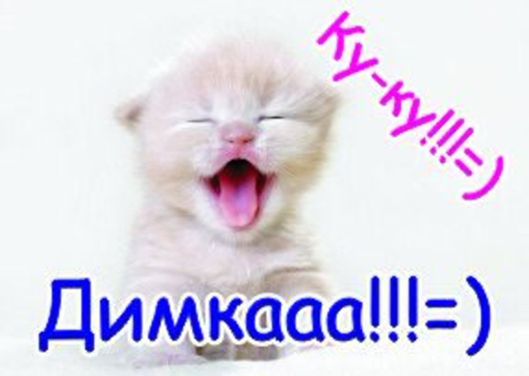 Цитаты про Наташу смешные