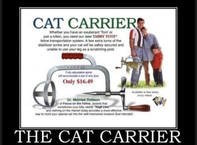 Переноска для кота демотиватор