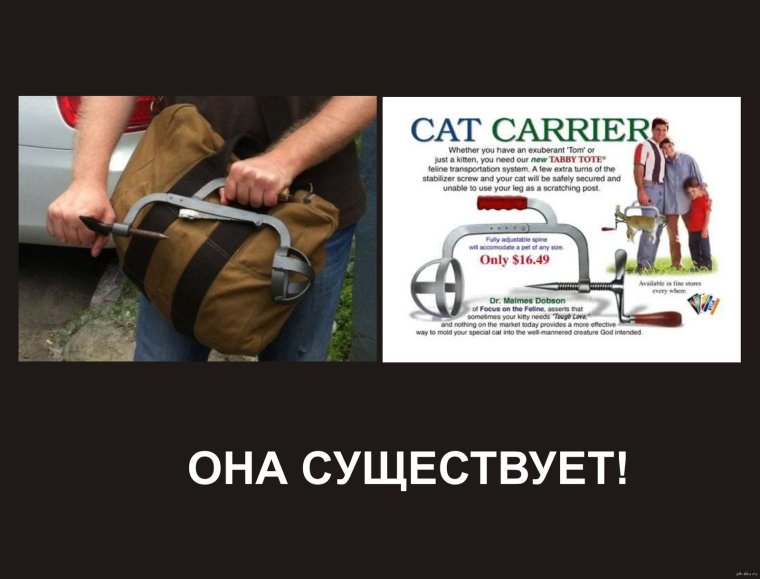 Переноска для кошек прикольная
