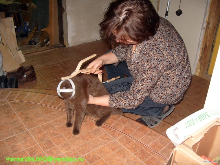 Переноска для кошек Маура