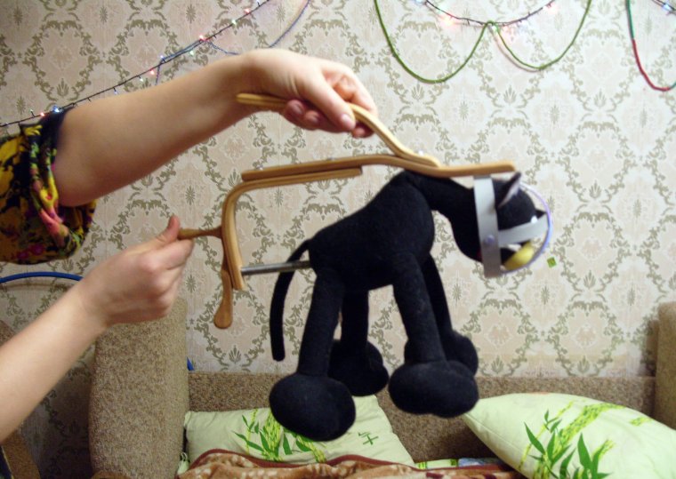 Ручка для переноски кота