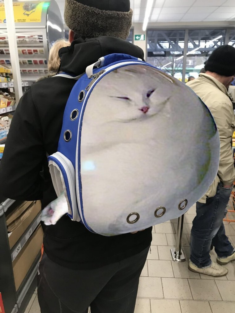 Рюкзак кот