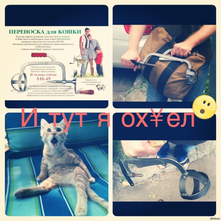 Приспособление для переноски кота