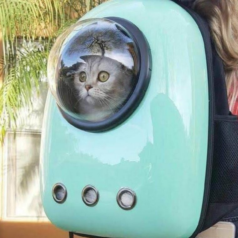 Рюкзак для котов с иллюминатором