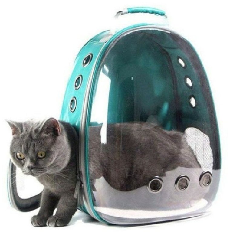 Переноска для кошек among us