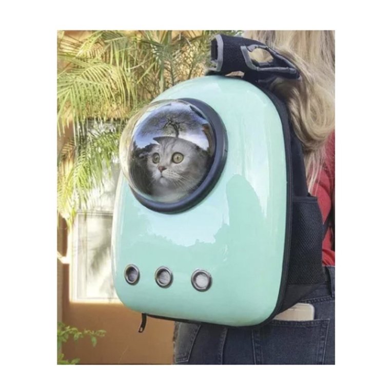 Рюкзак для кота с иллюминатором
