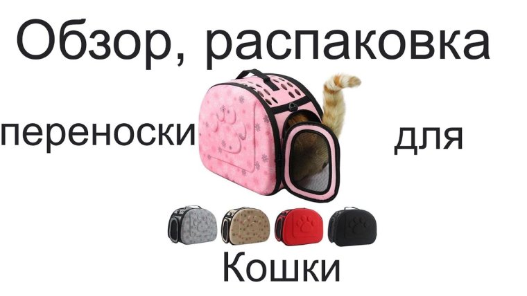 Чемоданное настроение прикол