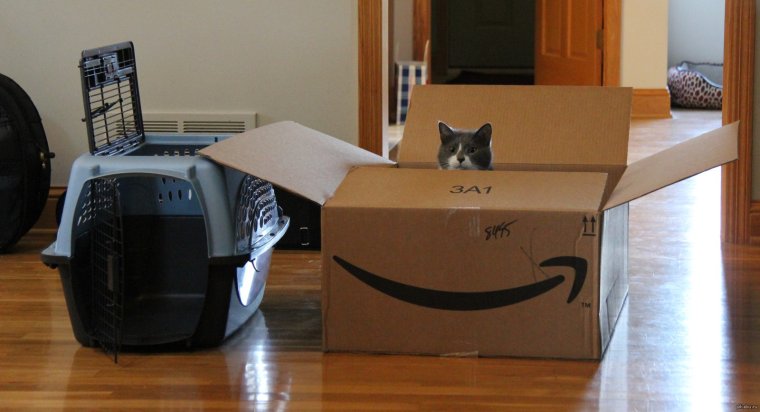 Машина из коробки для кота
