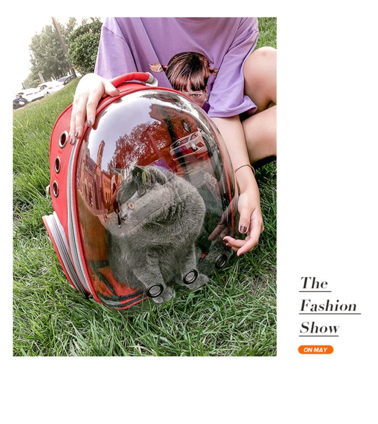 Смешная переноска для кота