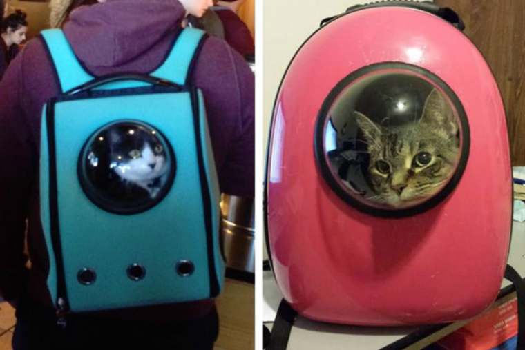 Переноска скафандр для кошек