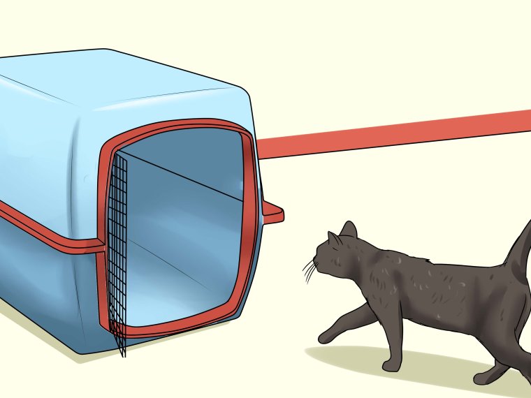 Кошачья переноска рисунок