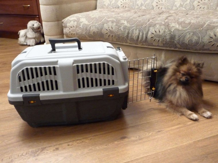 Переноска-Клиппер для собак MPS Skudo 2 55х36х35 см