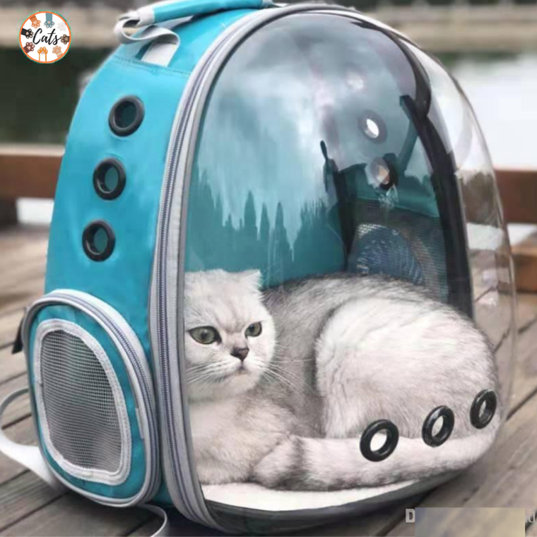 Сумка для кошек с иллюминатором