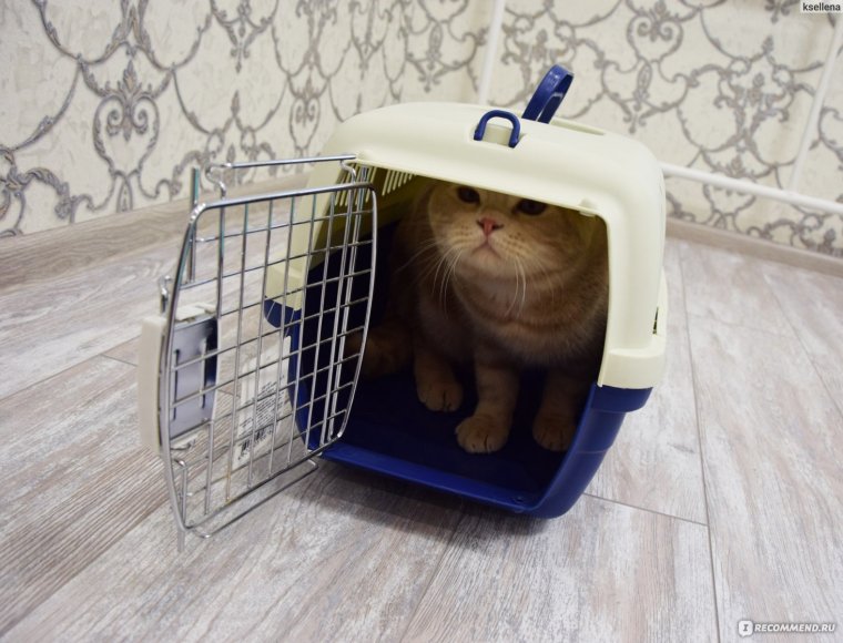 Переноска для мелких животных 280х190х140мм Triol