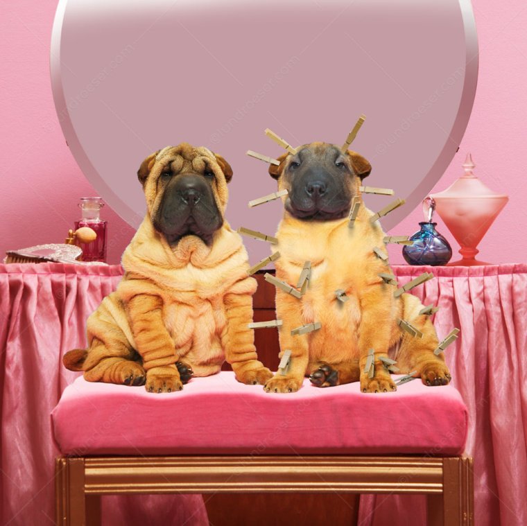 Салон красоты иллюстрация