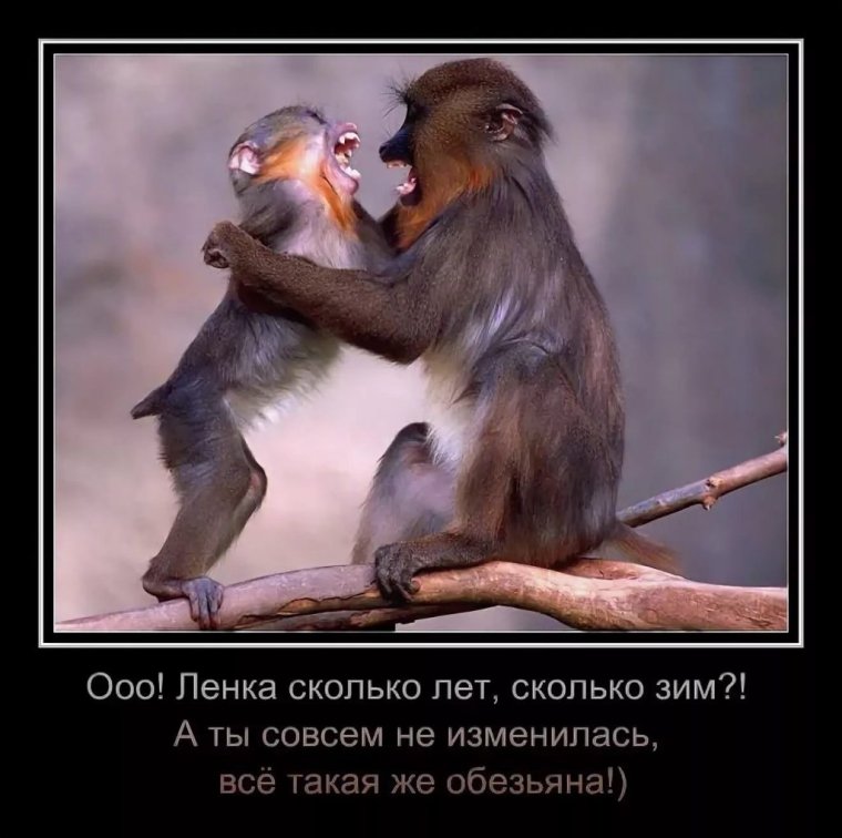 Анекдоты про ленку в картинках