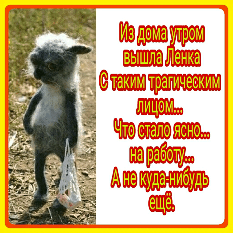 Приколы про ленку